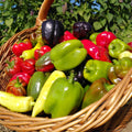 Bio Paprika