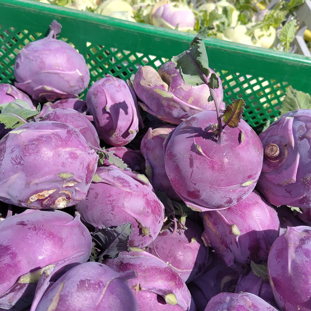 Bio Kohlrabi !AKTION!