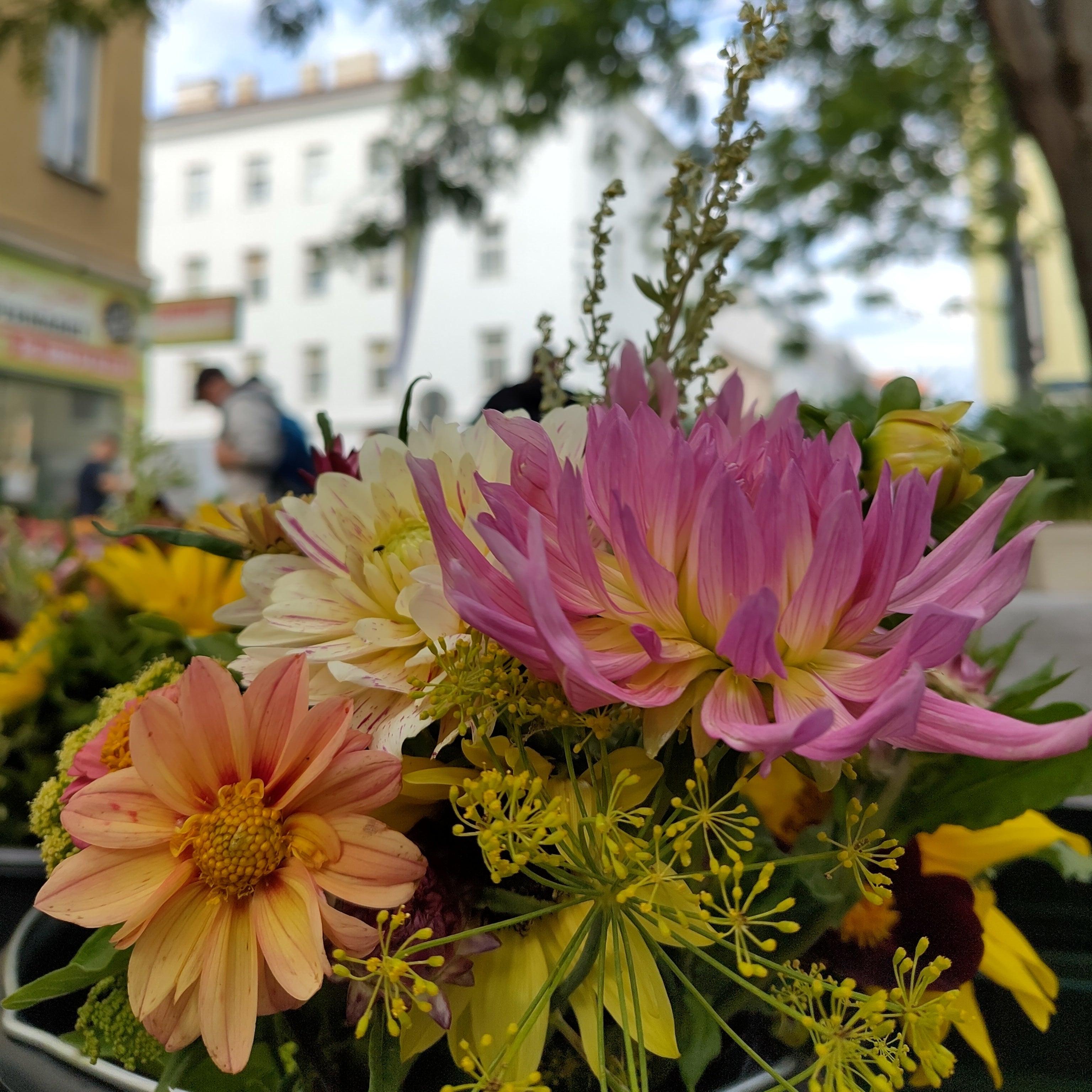 Bio Schnittblumen-Mix