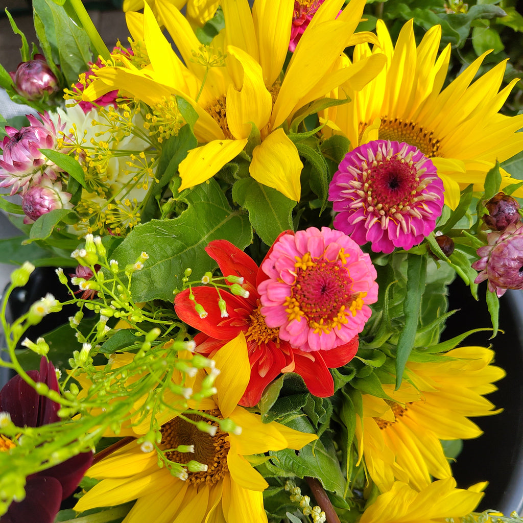 Bio Schnittblumen-Mix