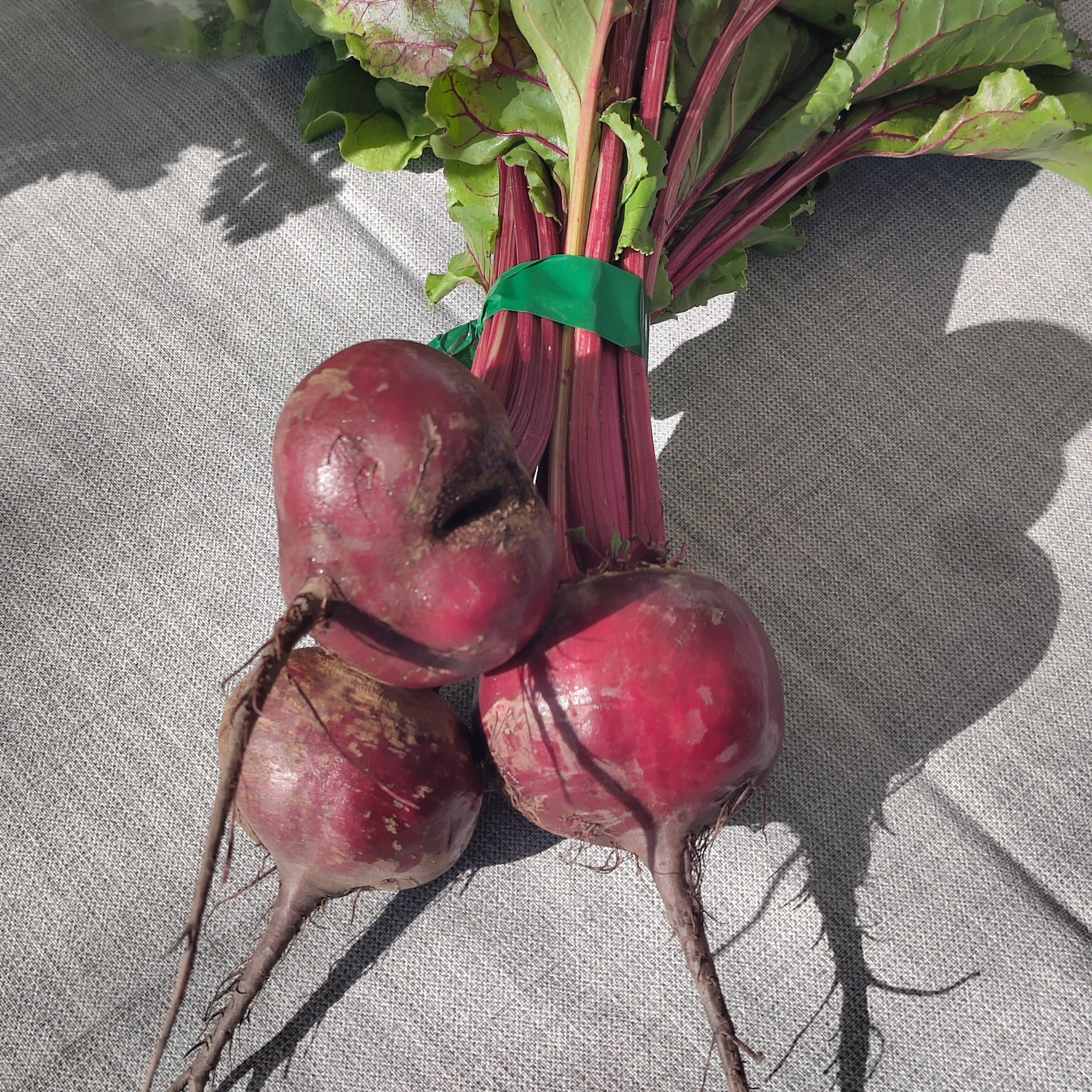 Bio Rote Rüben (Bund)