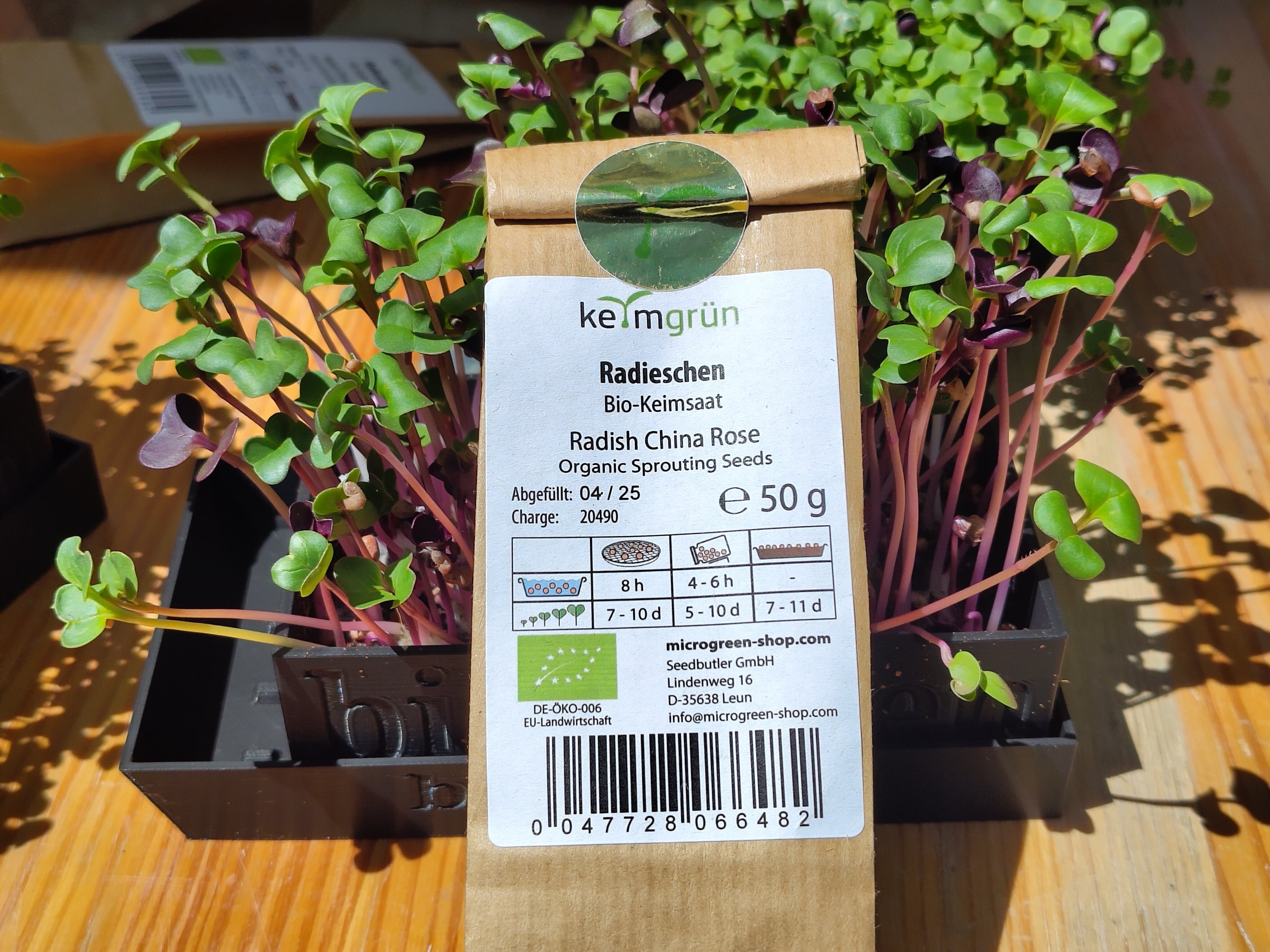 Microgreen Samen