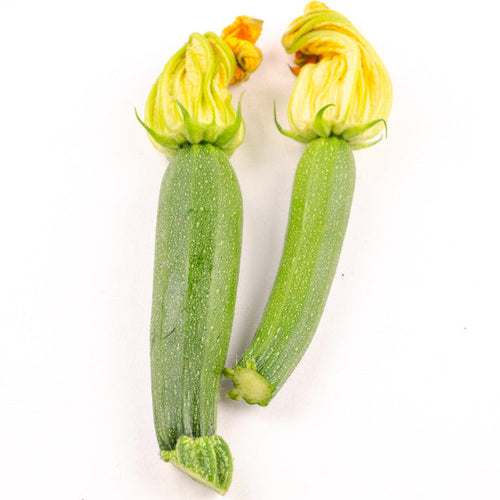 Bio Baby-Zucchini mit Blüte (so lang der Vorrat reicht)